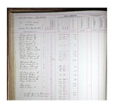 Fannin County Georgia Tax Digests 1793-1892