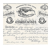 John Shawcroft Seventies Certificate
